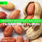 Manfaat Kacang Tanah