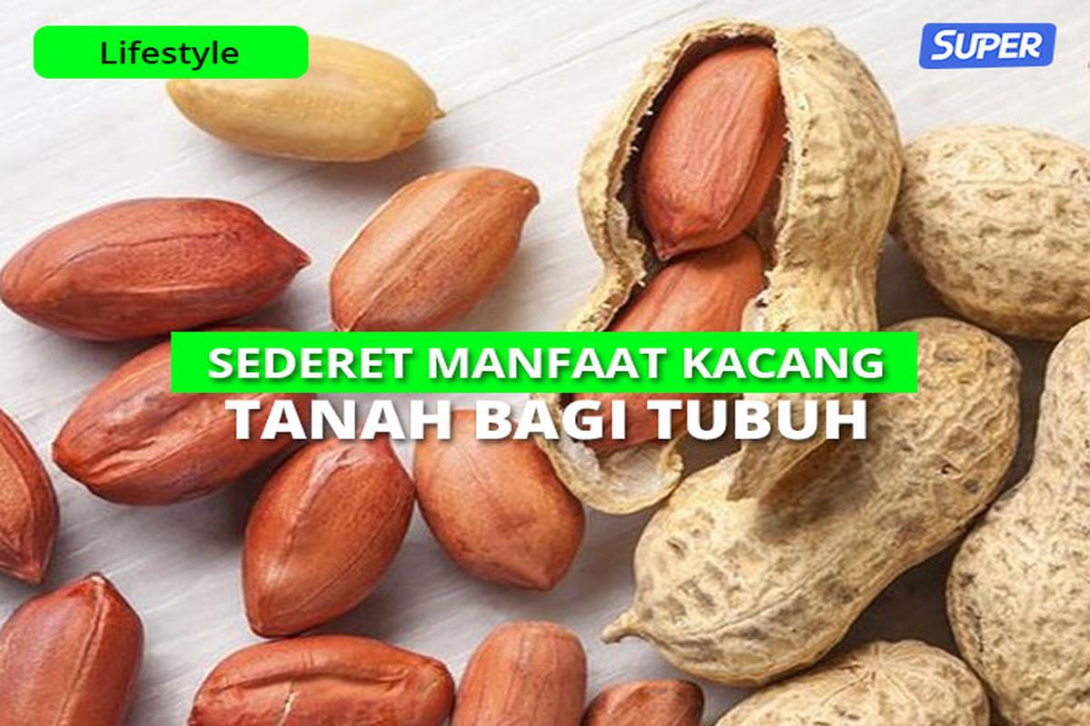 Manfaat Kacang Tanah