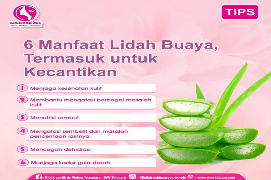 Manfaat Lidah Buaya
