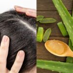 Manfaat Lidah Buaya Untuk Rambut
