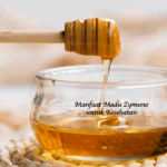 Manfaat Madu Zymuno