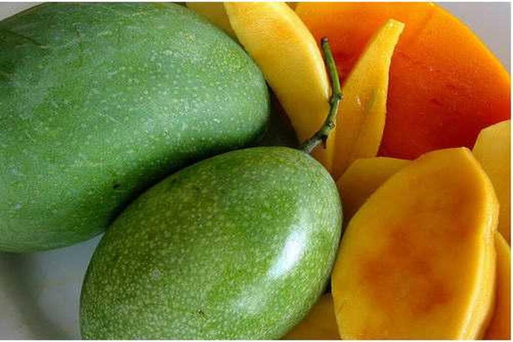 Manfaat Mangga