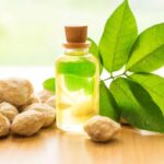 Manfaat Minyak Kemiri Untuk Rambut