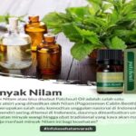 Manfaat Minyak Nilam