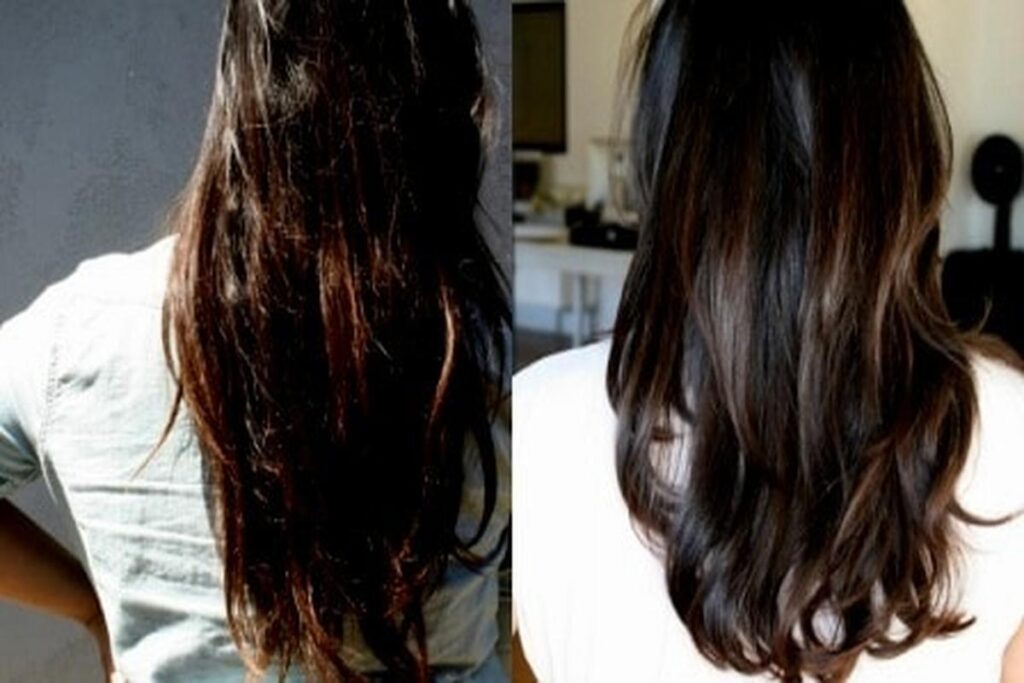 Manfaat Minyak Zaitun Untuk Rambut
