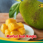 Manfaat Nangka