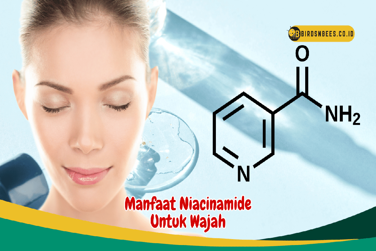 Manfaat Niacinamide