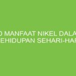 Manfaat Nikel