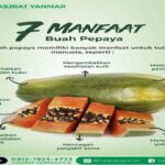 Manfaat Pepaya