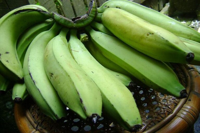 Manfaat Pisang Ambon