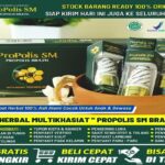 Manfaat Propolis