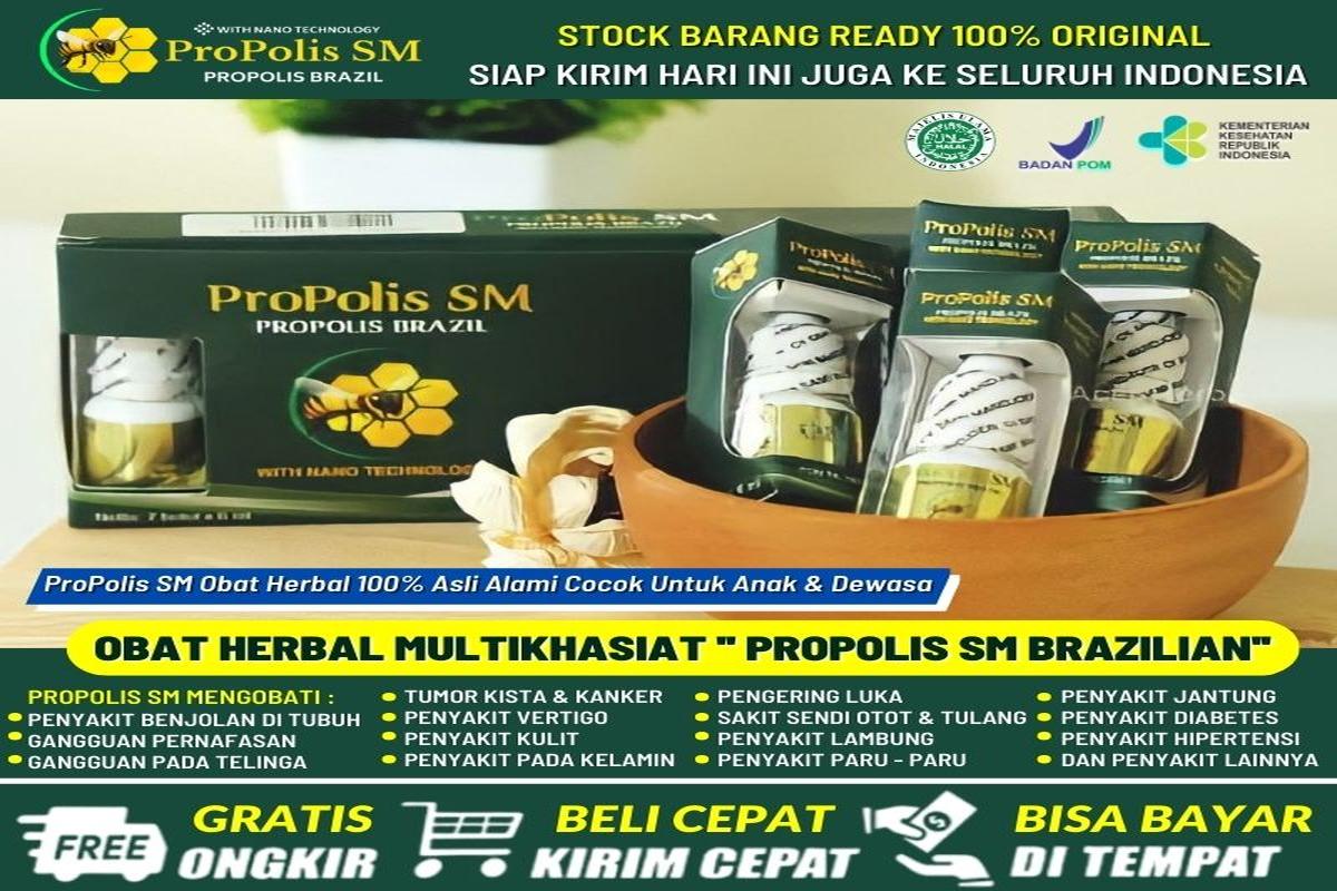 Manfaat Propolis