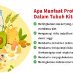 Manfaat Protein