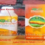 Manfaat Qnc Jelly Gamat