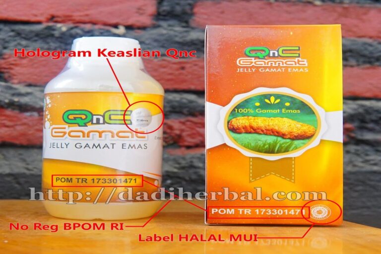 Manfaat Qnc Jelly Gamat