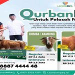 Manfaat Qurban