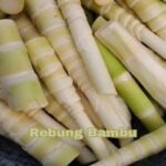 Manfaat Rebung Untuk Kesehatan
