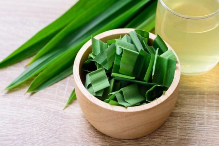 Manfaat Rebusan Daun Pandan