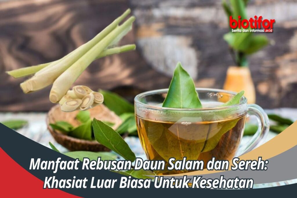 Manfaat Rebusan Daun Salam