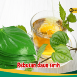 Manfaat Rebusan Daun Sirih