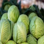 Manfaat Sayur Kol