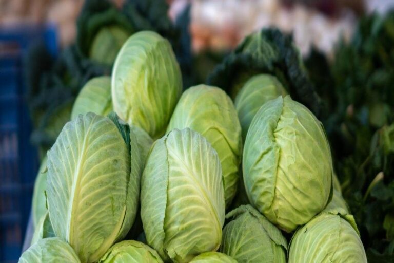 Manfaat Sayur Kol