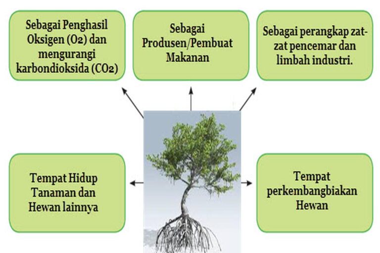 Manfaat Tanaman
