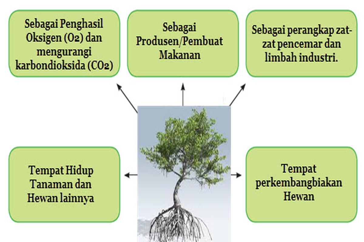 Manfaat Tanaman