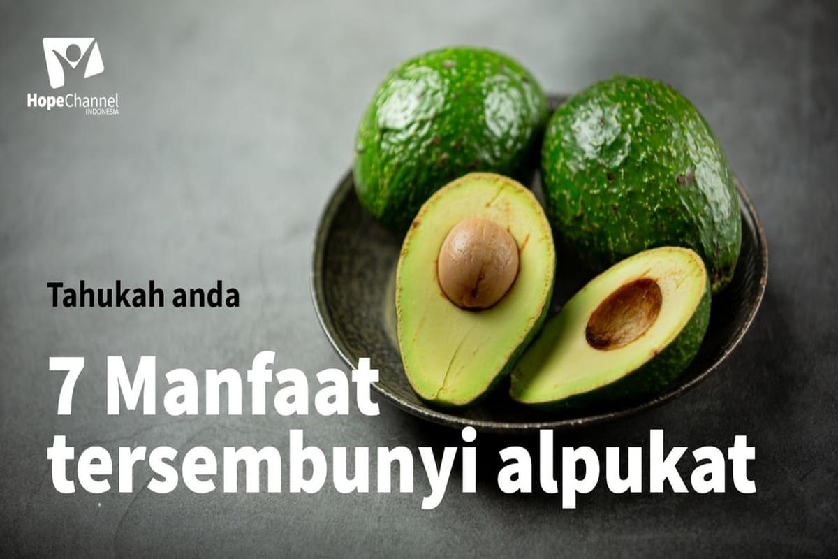 Manfaat Tanaman Alpukat