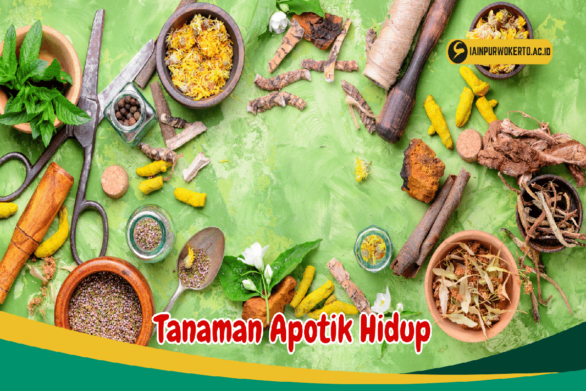 Manfaat Tanaman Apotik Hidup