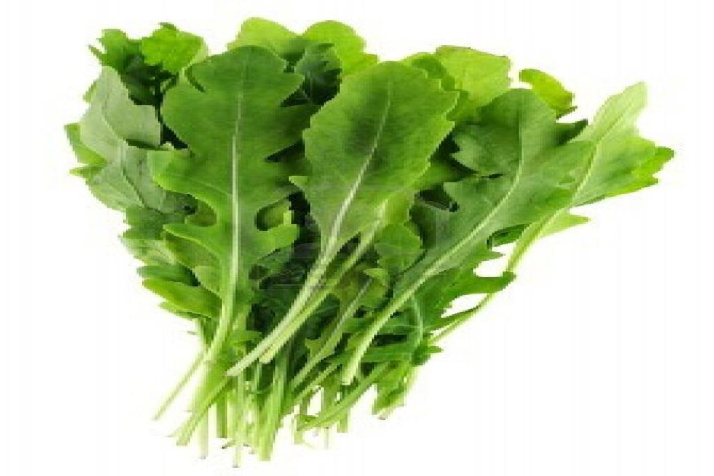 Manfaat Tanaman Arugula
