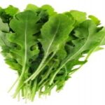 Manfaat Tanaman Arugula