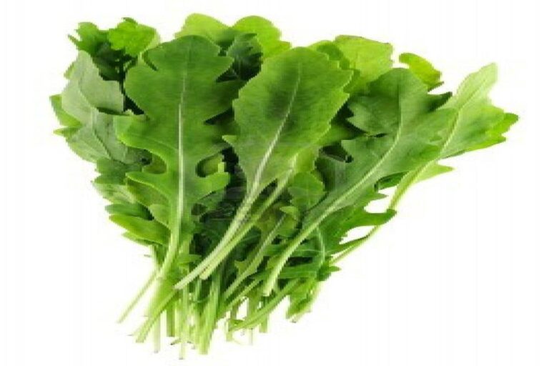Manfaat Tanaman Arugula