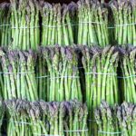 Manfaat Tanaman Asparagus