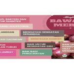 Manfaat Tanaman Bawang Merah