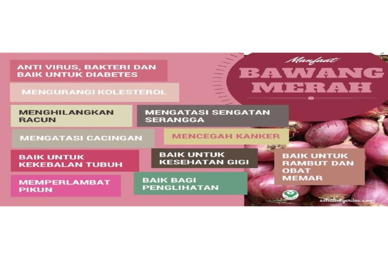 Manfaat Tanaman Bawang Merah