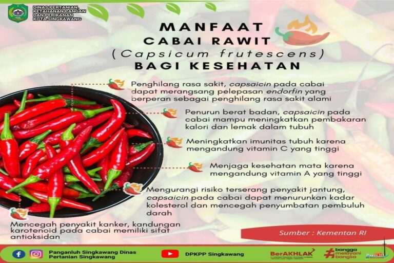 Manfaat Tanaman Cabai Rawit