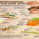 Manfaat Tanaman Empon Empon