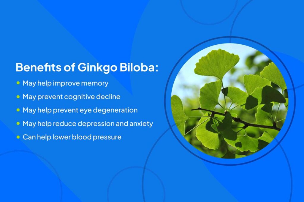 Manfaat Tanaman Ginkgo Biloba