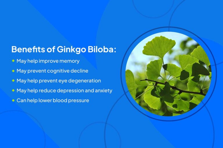 Manfaat Tanaman Ginkgo Biloba