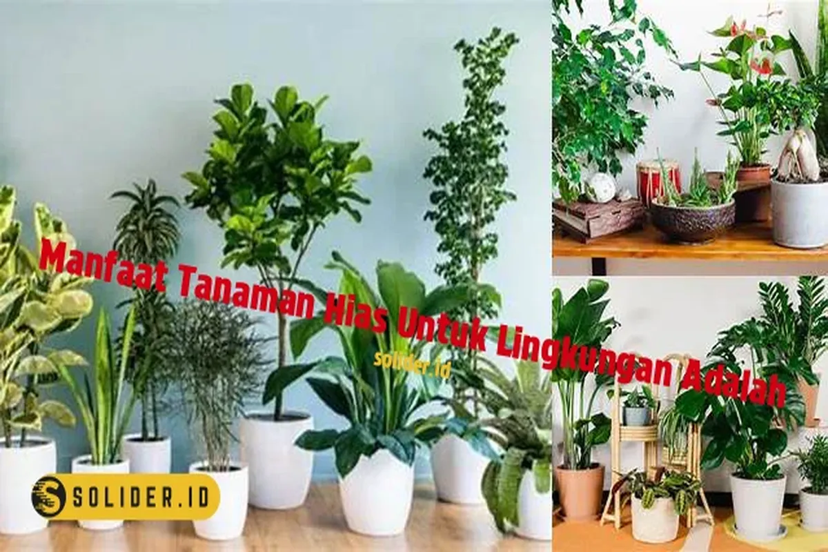 Manfaat Tanaman Hias Adalah