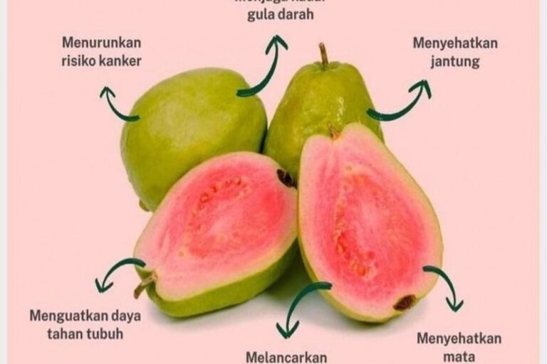 Manfaat Tanaman Jambu Merah