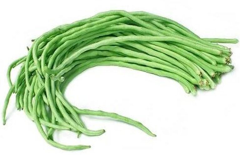 Manfaat Tanaman Kacang Panjang