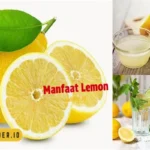 Manfaat Tanaman Lemon