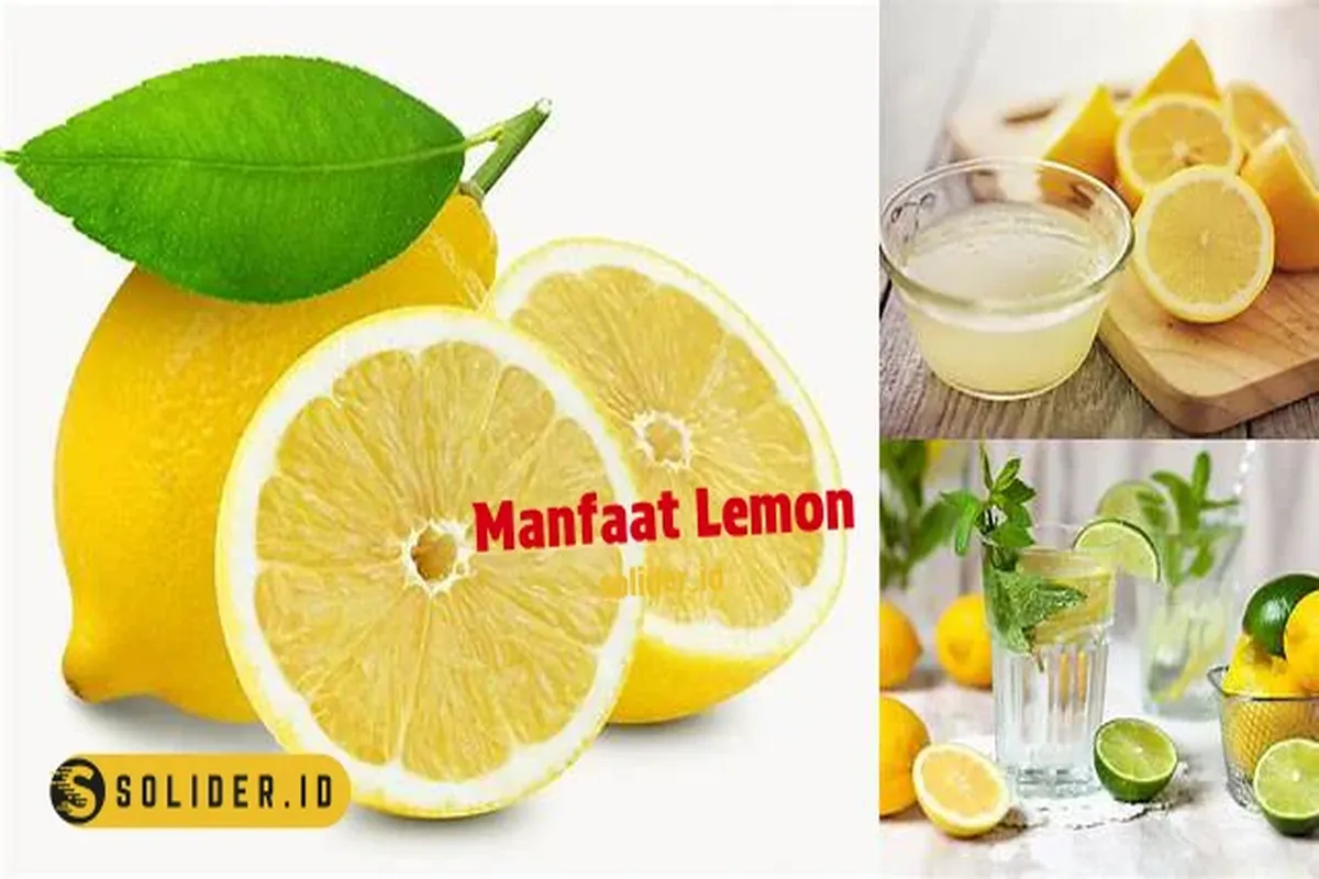 Manfaat Tanaman Lemon