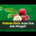 Manfaat Tanaman Mahkota Dewa