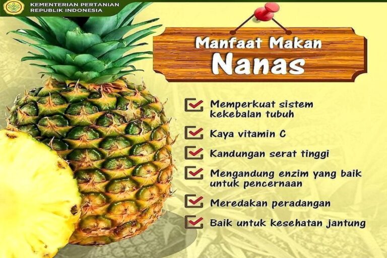 Manfaat Tanaman Nanas