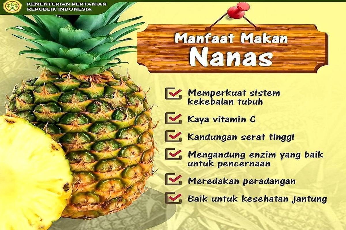 Manfaat Tanaman Nanas