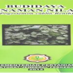 Manfaat Tanaman Nilam