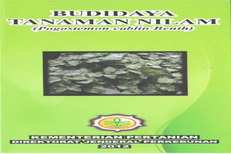 Manfaat Tanaman Nilam Untuk Kesehatan